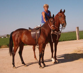 Cher came visiting all dressed up in her dressage saddle.  Her buddies Poco and Brenda tagged along.  May 2003 photo