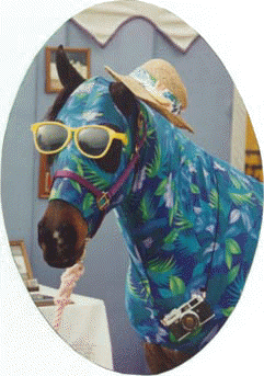 Scottsdale Native Costume - Tourist Division - c Diana Johnson 1996